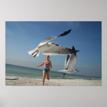 Chasing the Birds Posters