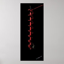 CHASING THE DREAM PRINT