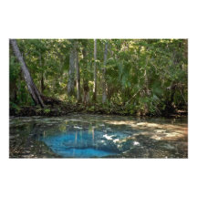 Chassahowitzka Spring. Citrus County Florida. Photo