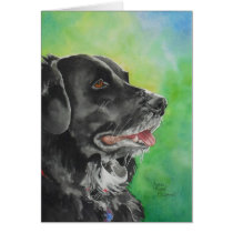 Chassi Greeting Cards