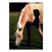 Chasta Greeting Card