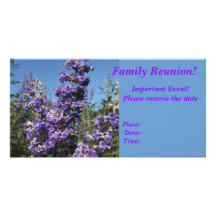 Chaste Tree Purple Flowers Custom Photo Card