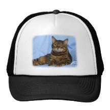 Chat 9W052D-018 du Bengale Casquettes