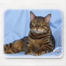 Chat 9W052D-018 du Bengale Tapis De Souris