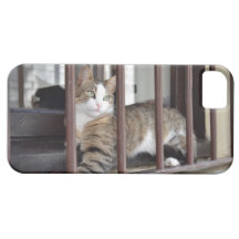 Chat à la fenêtre coques iPhone 5 Case-Mate