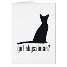 Chat abyssinien cartes de vœux