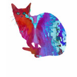 chat arc-en-ciel t-shirts