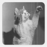 Chat avec les pattes augmentées (B&W) Adhésif