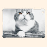 Chat avec les yeux oranges de puissance coques mini ipad