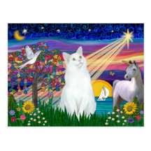 Chat blanc - nuit magique carte postale