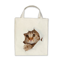 Chat dans un sac !