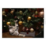 Chat d'arbre de Noël Cartes