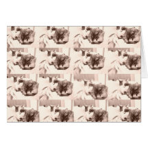 Chat de calicot vintage/photographie de noir et de cartes