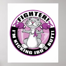 Chat de combattant d'IBD Posters