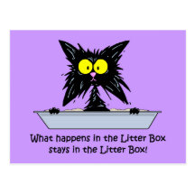 Chat de Litterbox Cartes Postales