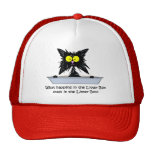Chat de Litterbox Casquettes