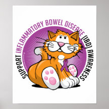 Chat d'IBD Affiches