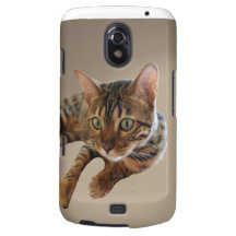 Chat du Bengale Étui Samsung Galaxy Nexus