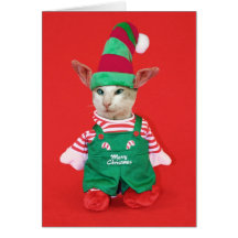 Chat Elf de Noël Carte De Vœux