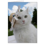 Chat et le chapeau carte de vœux