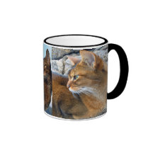 Chat femelle abyssinien vermeil tasses à café