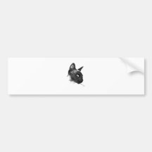 Chat Gifts.jpg Adhésifs Pour Voiture