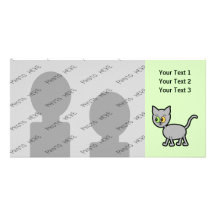 Chat gris avec les yeux impairs photocartes