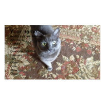 chat gris sur le tapis oriental modèles de cartes de visite