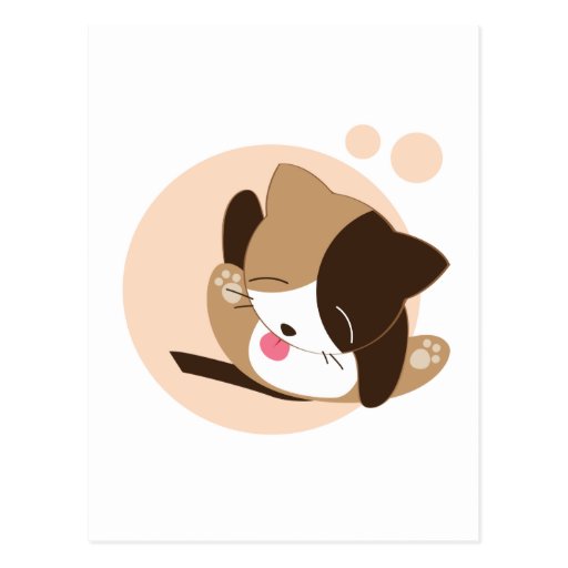 Chat mignon carte postale