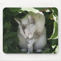 Chat nettoyant sa patte Mousepad Tapis De Souris