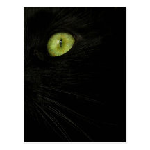 Chat noir, carte postale d'oeil vert