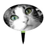 Chat noir et blanc et vert - durcissez la sélectio étiquette à gâteau