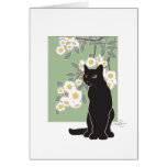 Chat Noir et Fluer de Pommier