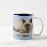 Chat persan tasse