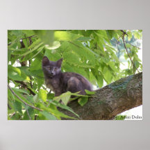 Chat Posters