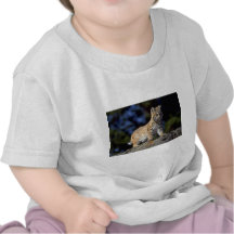 Chat sauvage t-shirt