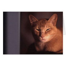 Chat somnolent carte de vœux