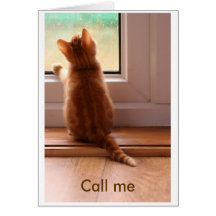 chat tigré - appelez-moi carte