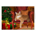 Chat tigré d'orange de Noël Cartes