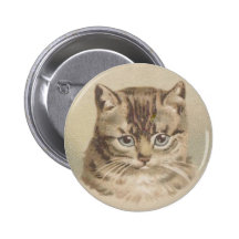 Chat tigré vintage pin's avec agrafe