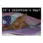 Chat venez Valentine de câlin Cartes De Vœux