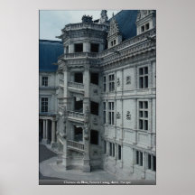 Chateau de Blois, Francis I wing, detail, the spir Poster