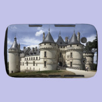 Chateau de Chaumont-Sur-Loire. casemate cases