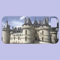 Chateau de Chaumont-Sur-Loire. casemate cases