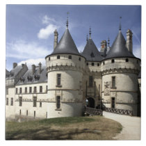 Chateau de Chaumont-Sur-Loire. tiles
