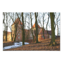 Château Teutonic Neidenburg - photo d'ordre