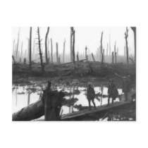 Chateau Wood Postcards