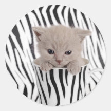 Chaton britannique de shorthair dans la tasse adhésif