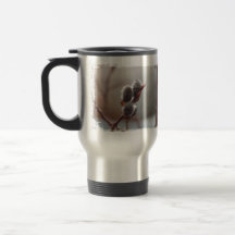 Chaton couvert de rosée mug