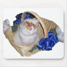 "CHATON DE JOUR DU MARIAGE TAPIS DE SOURIS DANS PA